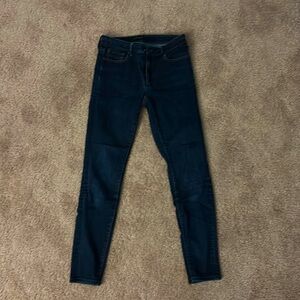 Ann Taylor “the skinny curvy fit”